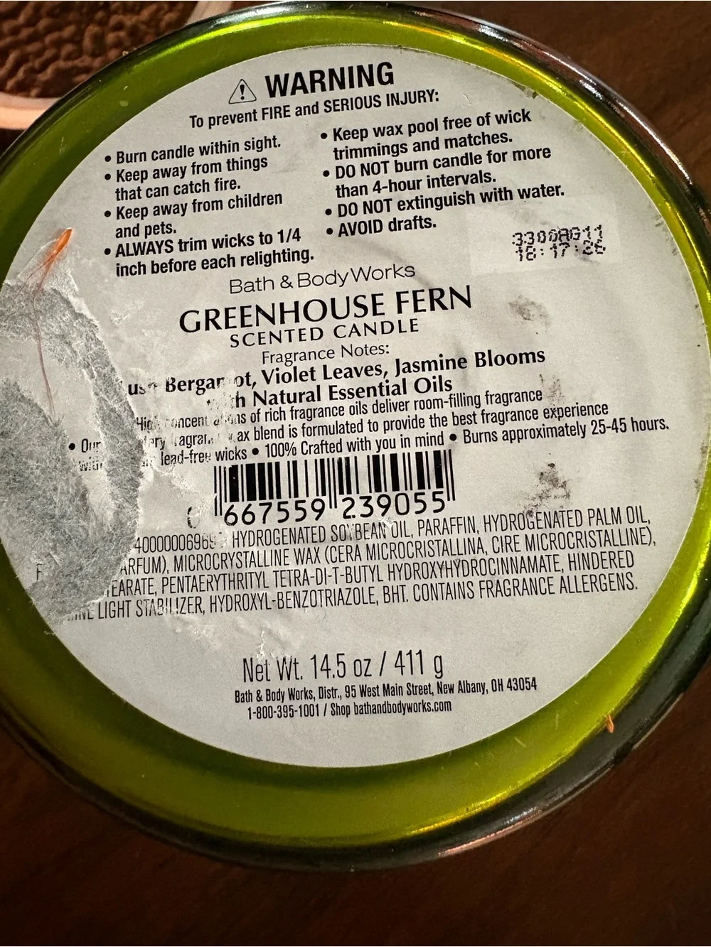 Bath & Body Works Greenhouse Fern Scented Candle Green New 14.5 oz